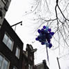 Beneden NAP 2 december 2011